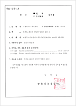 ���������� �����