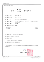 �������ǰ�� �����