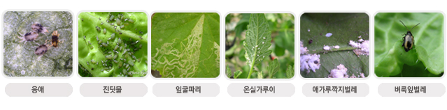 �ָ�����, �������� �� ȭ���� �߻��Ǵ� ����