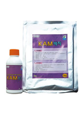 KAM �뷮��� ��Ʈ