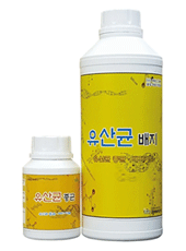 ����� �ڰ���� Set